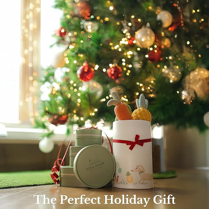 Nina Woof Organic Cotton Dog Toys Pack – Handmade Squeaky Plush Puppy Toys for Small and Medium Dogs, Eco Friendly Teething Accessories, Natural Pet Gift Set with Cute Fruit and Veggie Designs