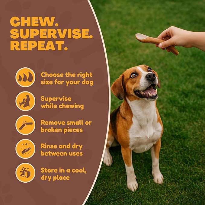 WhiteTail Naturals - Antlers for Small Dogs (3 Pack) Deer Antler Dog Chew Bones for Small Aggressive Chewers - Long Lasting Horn Chew Toys - Naturally Shed