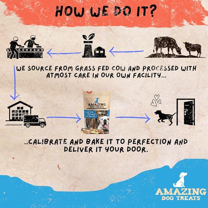 Amazing Dog Treats - Mega Thick Beef Lung Jerky Rewards | 100% Natural, High-Protein, Low-Fat, Grain-Free | (10 Pc/Pk)