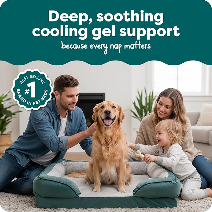 FurHaven Cooling Gel Dog Bed for Large Dogs, Comfort Sofa Bed with Cool Gel-Top Foam and a Solid Orthopedic Foam Base for Joint Support, Washable Cover, Jumbo XL, Plush & Velvet, Celadon Green