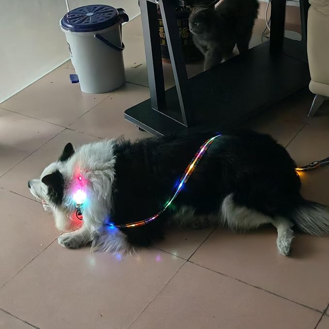 Upgraded Version Light Up Dog Collars,LED Dog Collar Rechargeable Waterproof,2-in-1 Buckle Type Glow Dog Collar for Medium Large Dogs.XL(Bohemian Blue)