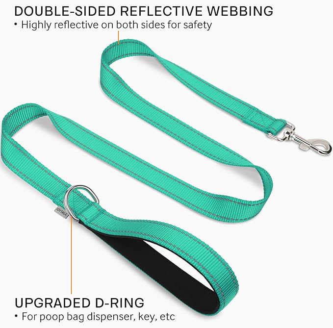 Joytale Double-Sided Reflective Dog Leash, 4 FT, Padded Handle Nylon Heavy Duty Leashes for Medium & Large Dogs Walking, Teal