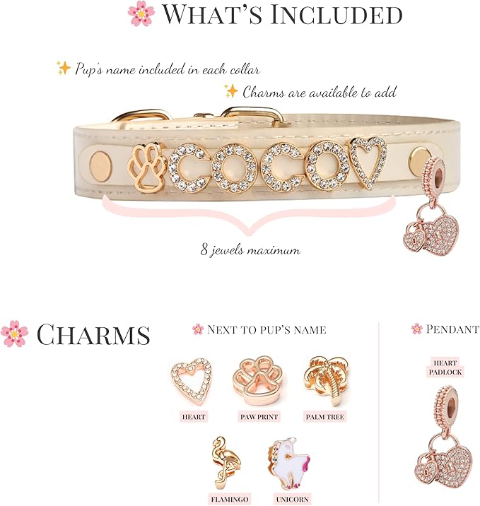 Paws Paws Miami Custom Dog Collar for Large Dogs, Personalized with Name in Gold-Plated Cubic Zirconia Initials and Charm Jewels Leather Collars, Sand