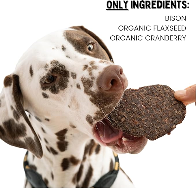 Winnie Lou Bison Burger Jerky Dog Treats – Limited Ingredient, Human Grade, Training Treats for Small, Medium & Large Dogs, Made in USA (2 Pack)