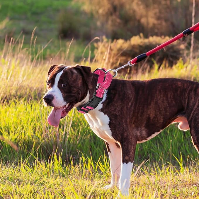 Reflective Martingale Dog Collars. Dog Collar with Quick Release Buckle. Adjustable Soft Padded Breathable Nylon Pet Collar Suitable for Puppies for Small Medium Large Dogs.