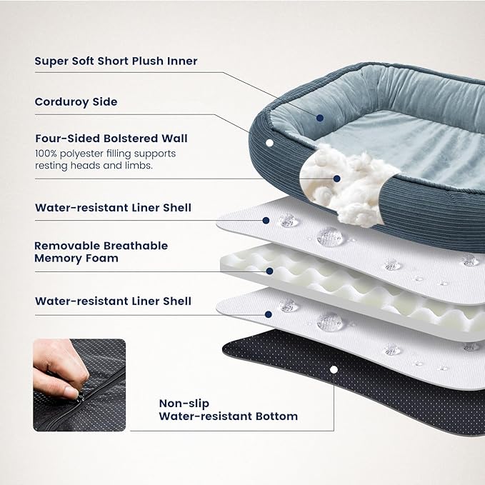 Miguel Orthopedic Cat Beds for Indoor Cats, Egg-Crate Memory Foam Pet Sofa with Bolster Sides, Oval Crate Bed, Washable Removable Cover & Non-Slip Bottom, Haze Blue