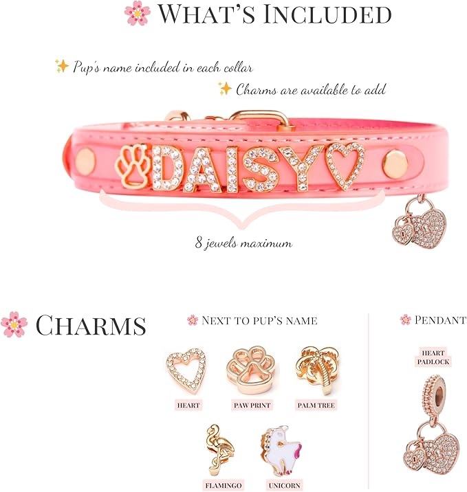 Paws Paws Miami Custom Dog Collar for Small Dogs, Personalized with Name in Gold-Plated Cubic Zirconia Initials and Charm Jewels Leather Collars, Pink