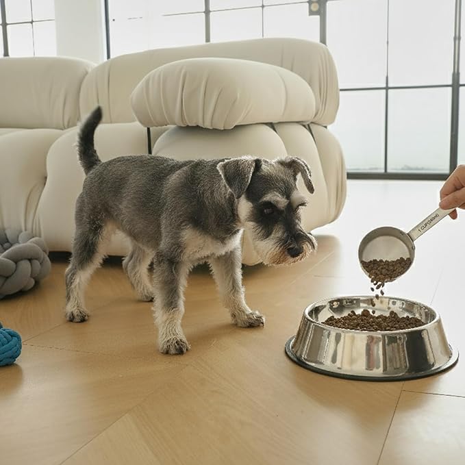 KEAWELL Premium Dog and Cat Food Measuring Cup 18/10 Stainless Steel (1, 1 Cup)