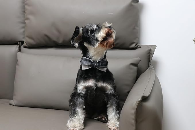 Lionet Paws Gird Dog Collar with Plastic Buckle, Cotton Fall Winter Bowtie Collar, Light Adjustable Collars for Small Medium Large Dogs