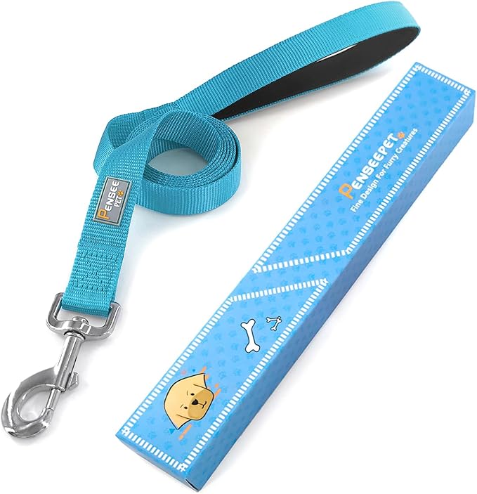 Basic Dog Leashes 6 FT Padded Handle Nylon Dogs Leashes for Large Dogs Light Blue