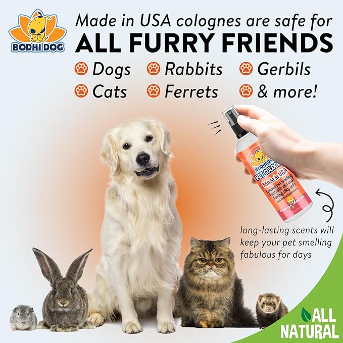 Bodhi Dog Premium Dog Cologne - Deodorizing Dog Perfume & Conditioner for Dogs & Cats - Natural Long Lasting Spray for Pets - Gentle & Safe Formula, Made in USA (Orange Sherbert 8 Fl Oz)