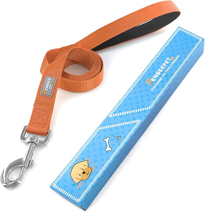 Basic Dog Leashes 6 FT Padded Handle Nylon Dogs Leashes for Small Dogs Orange