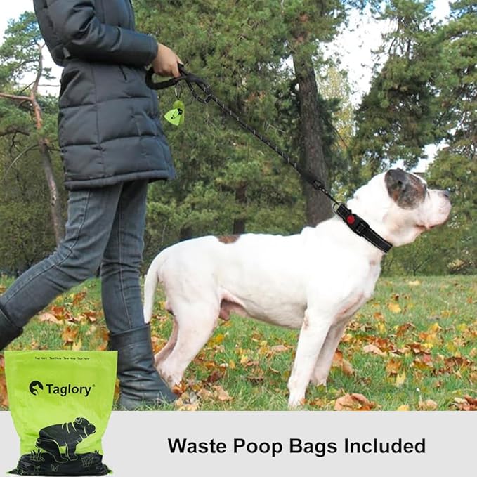 Taglory Rope Dog Leash 4 FT with Comfortable Padded Handle, Highly Reflective Threads Leash for Medium Large Dogs, 1/2 inch, Black