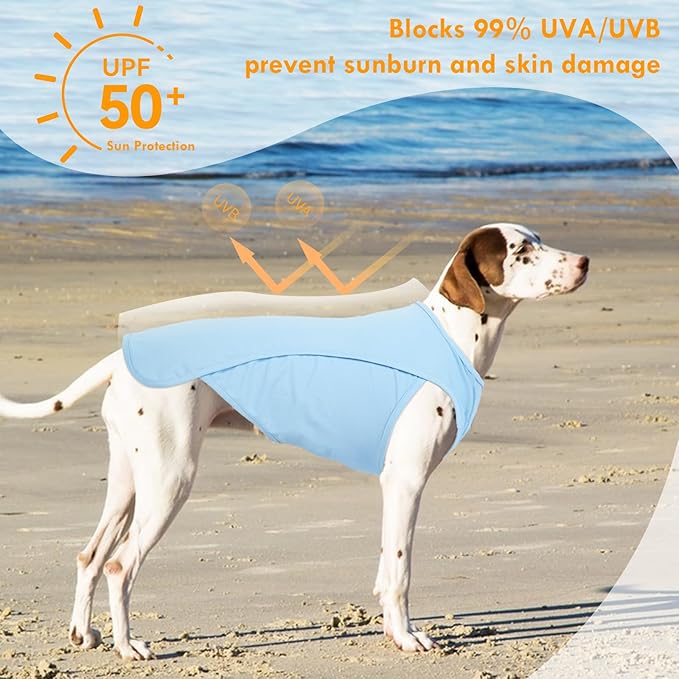 2 Pack Dog Shirt Quick Dry, Sun Protection UPF50+ Summer Cooling Vest, Soft Lightweight Tshirts for Medium Dogs Allergy Wound Care, Blue+Grey, M