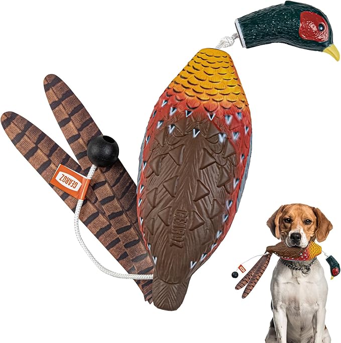 Duck/Pheasant Dummy, Mimics Dead Duck/Pheasant Bumper for Gun Dog Training Scent Waterfowl Hunting Retriever, Outdoor Mallard Retrieval Interactive Train Toys, Floating & Durable
