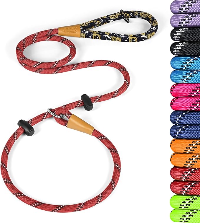 lynxking Slip Lead Dog Leash Reflective, Heavy Duty Comfortable Strong Rope for Large Medium Small Dogs No Pull Pet Training (Red, Large 1/2in x 6ft-Slip Lead)