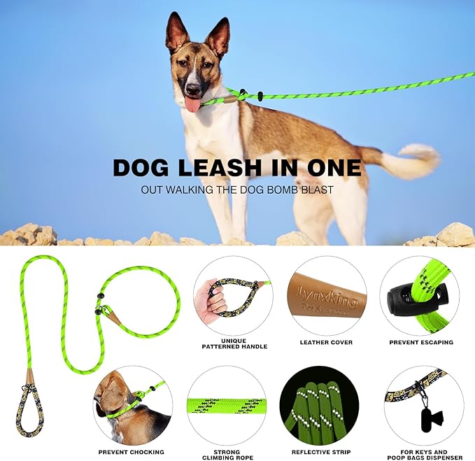 lynxking Slip Lead Dog Leash Reflective, Heavy Duty Comfortable Strong Rope Leash for Large Medium Small Dogs No Pull Training (Light Green, Small 3/8in x 6ft-Slip Lead)
