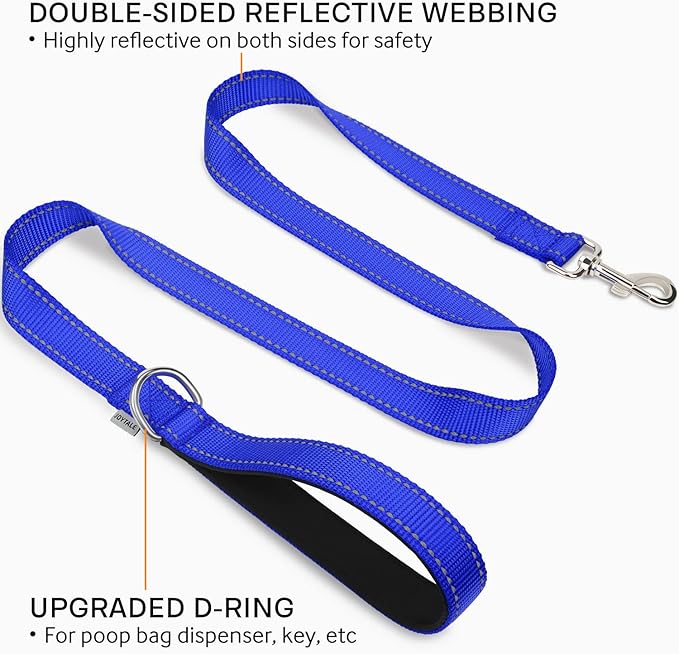 Joytale Double-Sided Reflective Dog Leash, 4 FT, Padded Handle Nylon Heavy Duty Leashes for Medium & Large Dogs Walking, Navy Blue