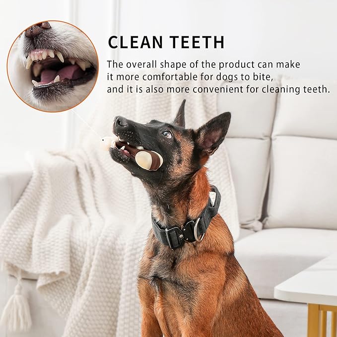 Nylon Dog Bones, Pack Tough Chew Toys for Large/Medium/Small Dogs, Beef Flavor, Teeth Cleaning, Training (2 Pcs, Fat Bones)