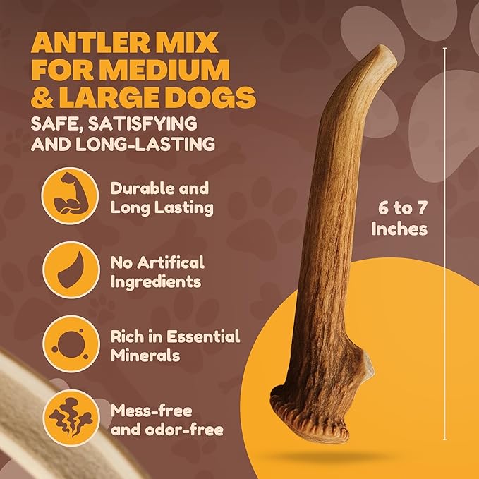 WhiteTail Naturals - Bulk Deer Antlers for Dogs (1 Pound Pack) Antler Chews - Naturally Shed, Long Lasting Dog Bones for Aggressive Chewers.