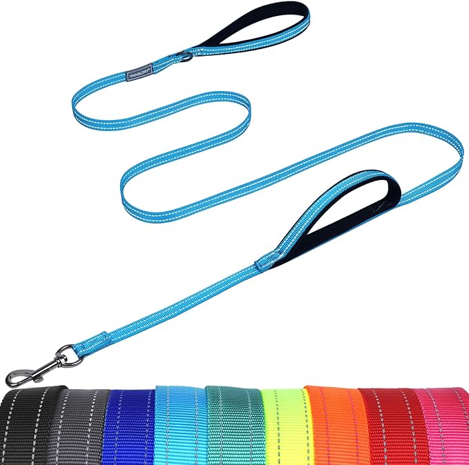 VIVAGLORY Twingrip Dog Leash, Double Handle Dog Leash for Training & Walking with Traffic Handle & 2 Loop, Traffic Control Reflective Heavy Duty for Puppy Pet, 5ft x 1/2in, Lake Blue