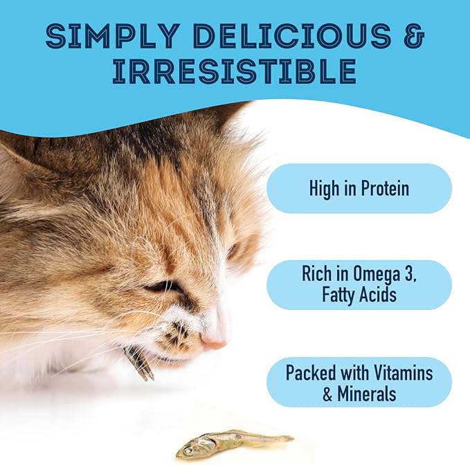 The Granville Island Pet Treatery Sardines for Dogs & Sardines for Cats (7.4 oz, Pack of 1) - Dehydrated Single Ingredient Dog Treats - All Natural Treats, Grain Free – Dog Training Treats