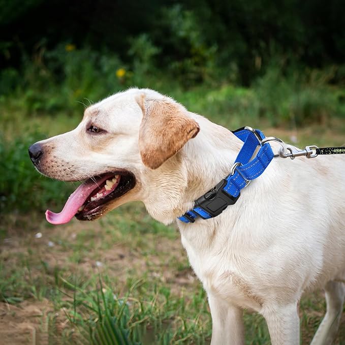 Reflective Martingale Dog Collars. Dog Collar with Quick Release Buckle. Adjustable Soft Padded Breathable Nylon Pet Collar Suitable for Puppies for Small Medium Large Dogs.