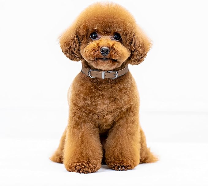 OOPSDOGGY Rolled Leather Dog Collar Reflective Roll Collars for Small Medium Large Dogs Puppy (Beige, S, 10''- 13'')