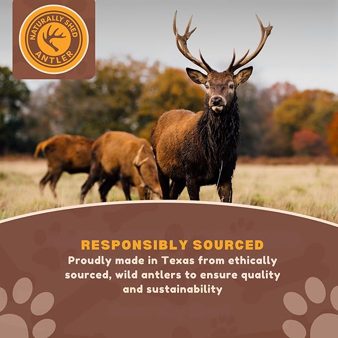 Whitetail Naturals - 3 Pack Medium - Deer Antler Dog Chews - Antlers for Medium Dogs - Long Lasting, Naturally Shed Antler Dog Bones