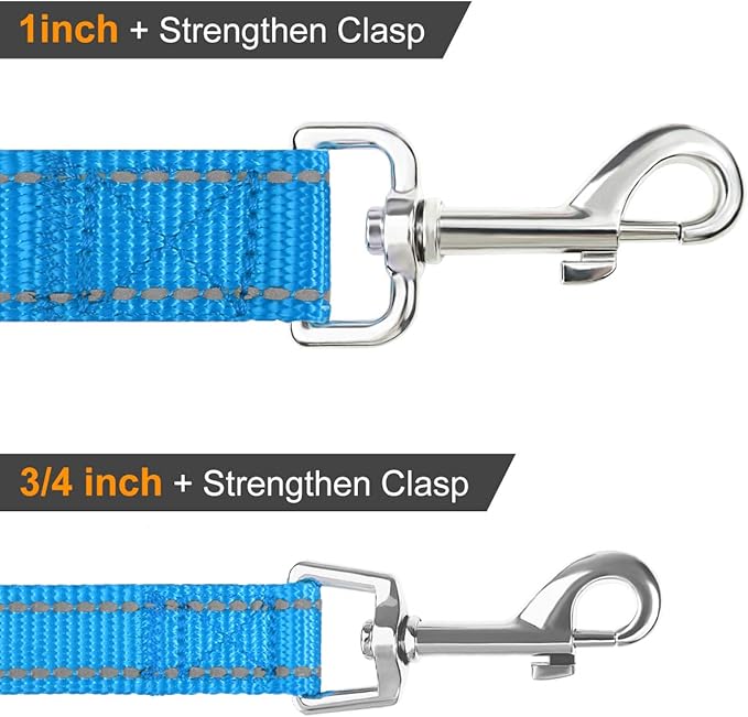 Joytale Dog Leash, 6 FT Double-Sided Reflective, Padded Handle Nylon Heavy Duty Leashes for Medium & Large Dogs Walking, Sky Blue