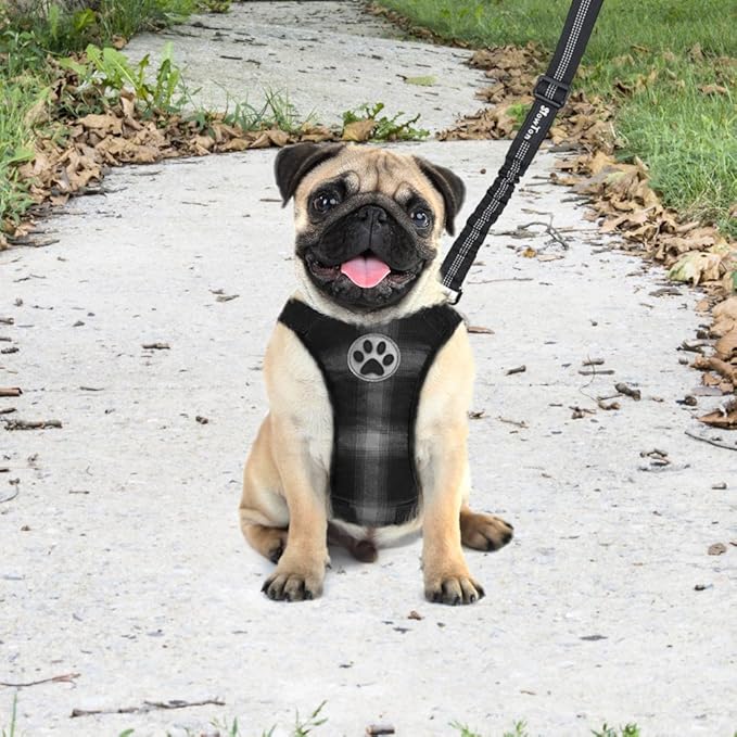 SlowTon Dog Seat Belt Harness for Car, Dog Car Harness Adjustable Mesh Breathable & Dog Seatbelt Safety Tether with Elastic Bungee for Small Medium Large Pets