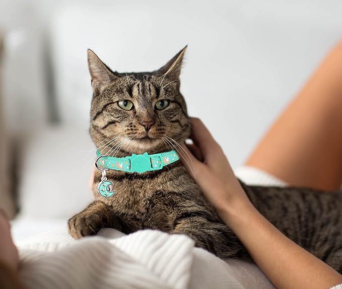 2Pcs Breakaway Cats Collars Cat Collars for Boy & Girl Cats Adjustable Kitten Collars with Bell,Purple+Teal,8"-13.1"