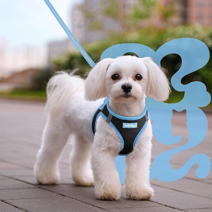 rabbitgoo Dog Harness Small Sized and Leash Set, Step-in Breathable Pet Harness, Soft Walking Reflective Puppy Vest for Small Dogs, Black & Light Blue, M