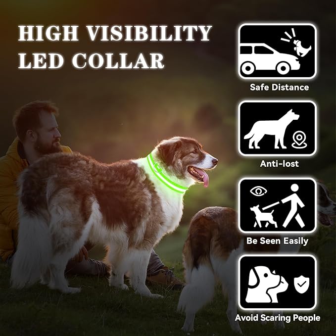 LED Light Up Dog Collar Rechargeable Waterproof, Glow in Dark Dog Collar, Lighted Dog Collars for Night Walking Charging USB, Safety for Small Medium Large Dogs (XL, Green)