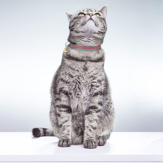 Cat Collar Personalized - Breakaway Reflective Cat Collar with Bell-Custom Cat Collars Embroidered with Name and Phone, Adjustable for Cats and Kitten