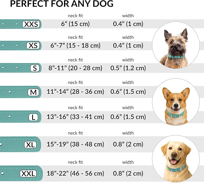 CollarDirect Rolled Leather Dog Collar, Soft Padded Round Puppy Collar, Handmade Genuine Leather Collar Dog Small Large Cat Collars 13 Colors (8-11 Inch, Mint Green Textured)