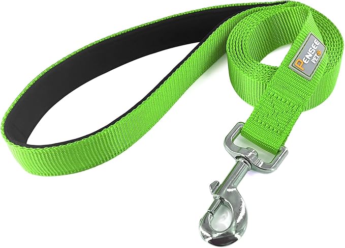 Basic Dog Leashes 6 FT Padded Handle Nylon Dogs Leashes for Medium Dogs Green