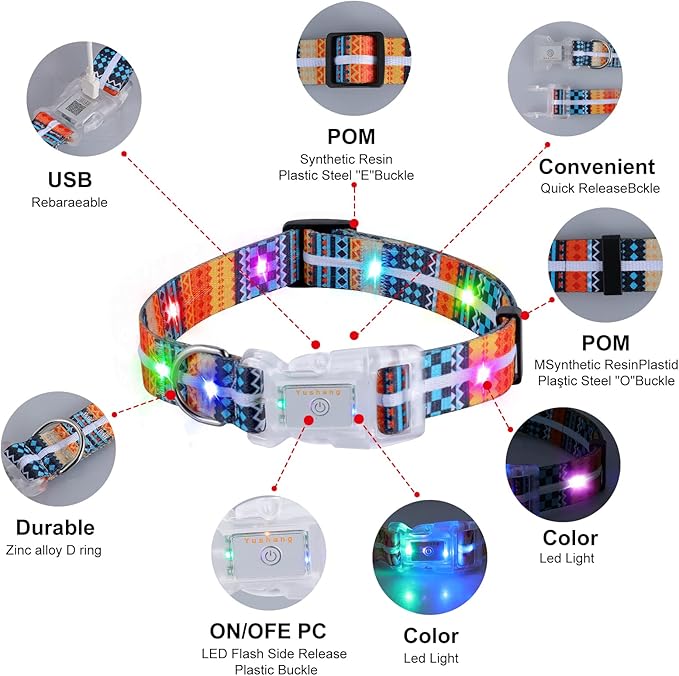 Light Up Dog Collars,LED Dog Collar Rechargeable Waterproof,2-in-1 Buckle Type Glow Collar for Medium Large Dogs- M(10-17 * 0.98 inch can be Crop)