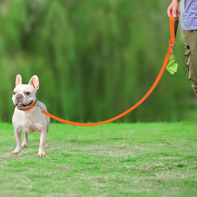 Joytale Double-Sided Reflective Dog Leash, 4 FT, Padded Handle Nylon Heavy Duty Leashes for Small & Medium Dogs Walking, Orange