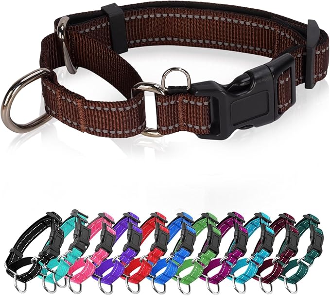 Reflective Martingale Dog Collars. Dog Collar with Quick Release Buckle. Adjustable Soft Padded Breathable Nylon Pet Collar Suitable for Puppies for Small Medium Large Dogs.