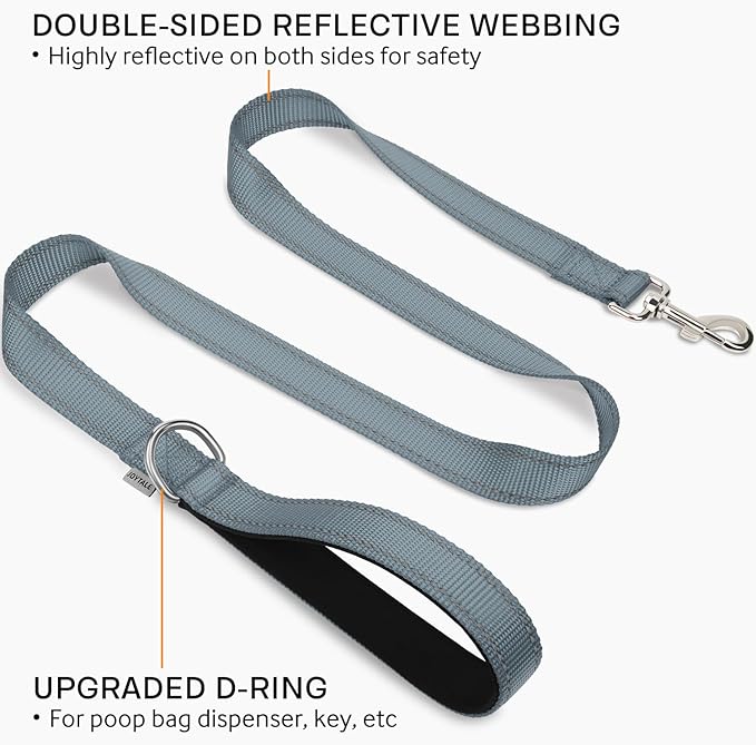 Joytale Double-Sided Reflective Dog Leash, 4 FT, Padded Handle Nylon Heavy Duty Leashes for Small & Medium Dogs Walking, Gary