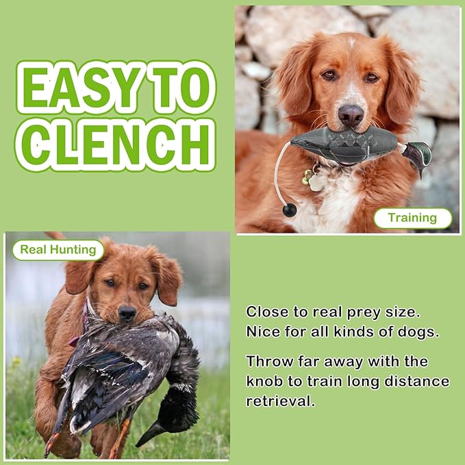 Archerest Dead Duck Dove Pheasant Dummy Bumper Toys for Waterfowl Hunting Retriever Dog Training, Floating Mallard Dummy Trainer Outdoor Soft Durable Realistic Fowl