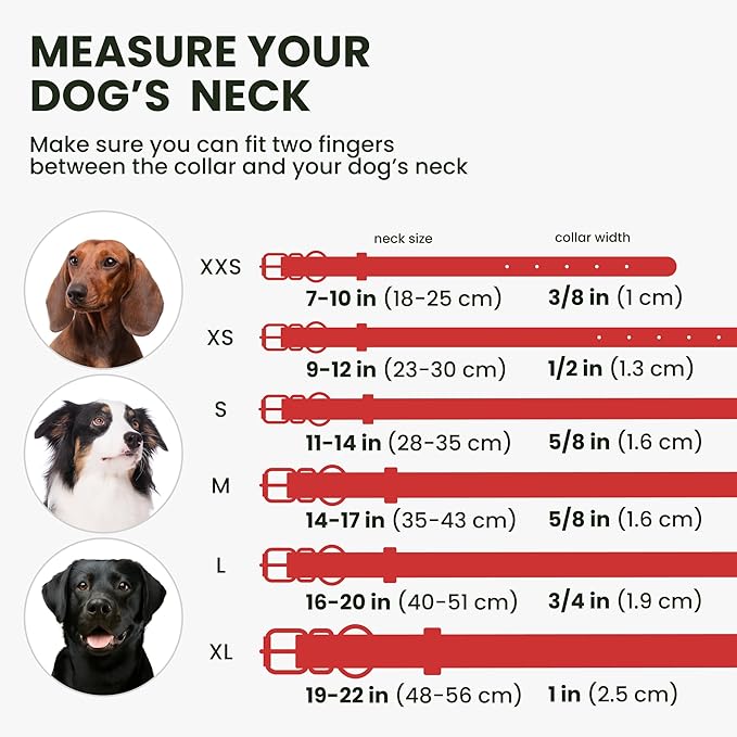 Rolled Leather Dog Collar Soft Round Collars, ID Tag for Small Medium Large Dogs (9-12 inch, Imperial Red)