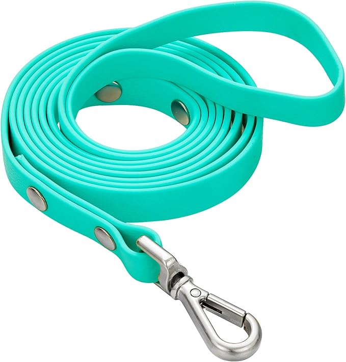 Waterproof Long Dog Training Leash 10ft Outdoor PVC Dog Leashes Great for Large Medium Small Dog Training Lead,Beach,Yard,Play,Camping(Mint Green