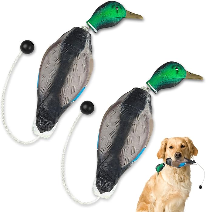 Archerest Dead Duck Dove Pheasant Dummy Bumper Toys for Waterfowl Hunting Retriever Dog Training, Floating Mallard Dummy Trainer Outdoor Soft Durable Realistic Fowl