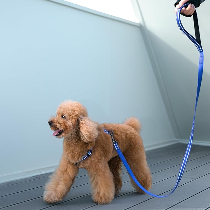 EXCELLENT ELITE SPANKER No Pull Dog Harness Reflective Nylon Vest L-Shaped Adjustable Easy Pet Harness for Small Medium Large Breeds Dogs Walking Training Black Red(Blue-L)