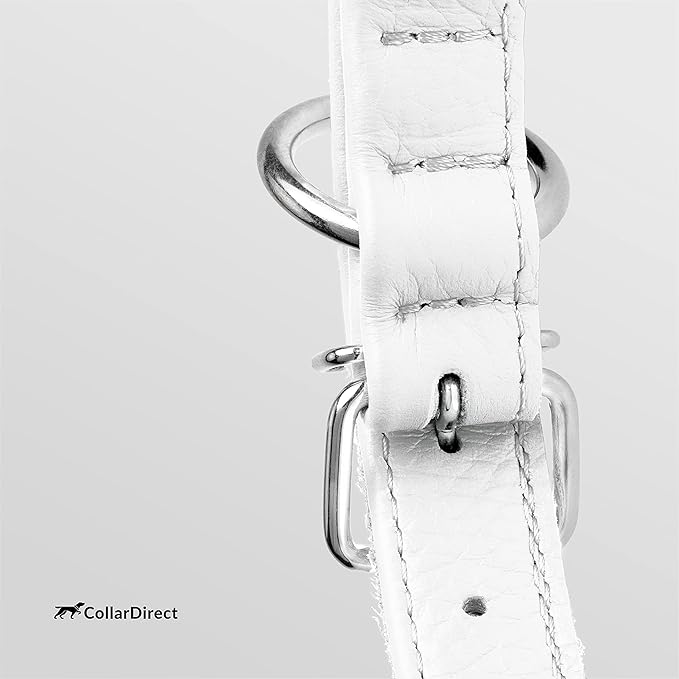 CollarDirect Rolled Leather Dog Collar, Soft Padded Round Puppy Collar, Handmade Genuine Leather Collar Dog Small Large Cat Collars 13 Colors (13-16 Inch, White Textured)