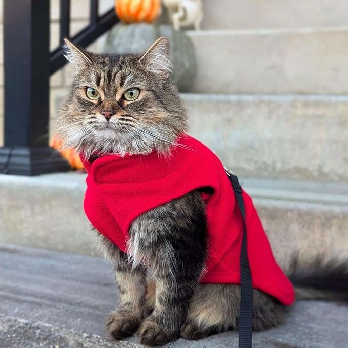 JACKO & CO - Fleece Vest Dog Sweater with Leash Ring - Soft, Warm & Lightweight Pullover Coat for Small & Medium Dogs, Puppies & Cats - Cozy Fall/Winter/Spring Pet Jacket (Red, Large 10-16lbs)