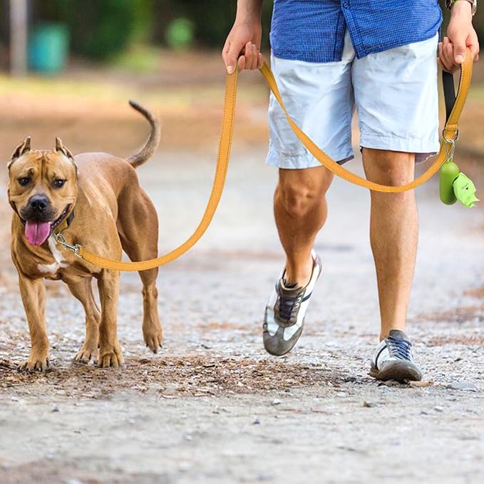Joytale Double-Sided Reflective Dog Leash, 6 FT/5 FT/4 FT, Padded Handle Nylon Heavy Duty Leashes for Medium & Large Dogs Walking, Khaki, 6FT