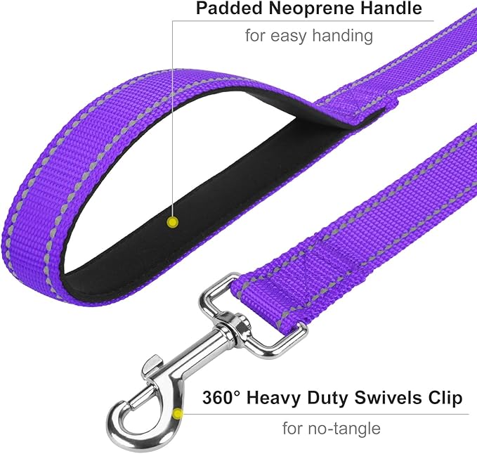 6FT Reflective Nylon Dog Leash with Soft Padded Handle for Walking, Running and Training, Supports Small Medium and Large Dogs (Purple, 1 Inch Wide)